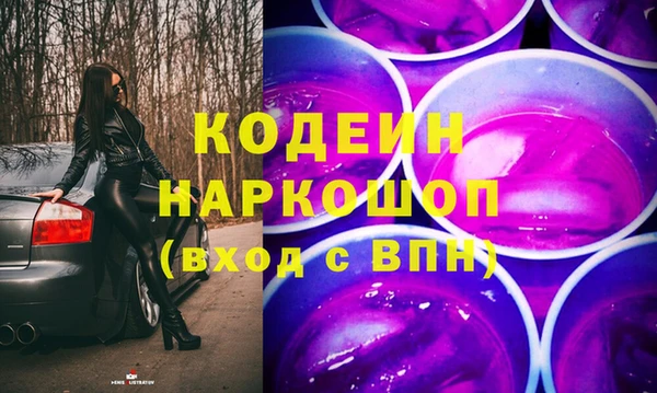 стаф Богданович