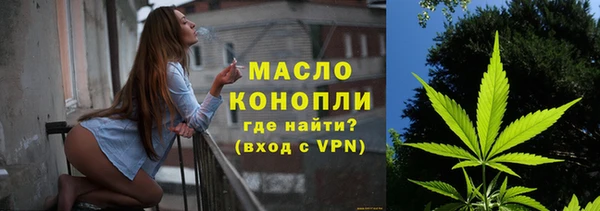 гидра Богородск