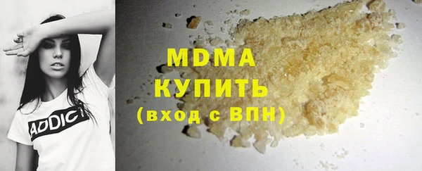 гидра Богородск