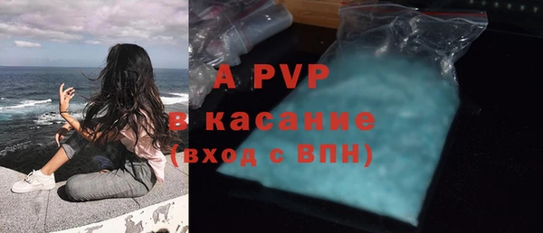 стаф Богданович