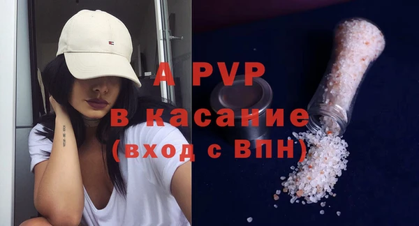 стаф Богданович