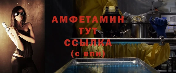 гидра Богородск