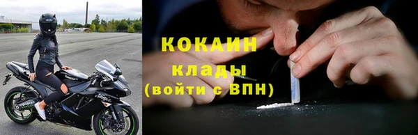 гидра Богородск