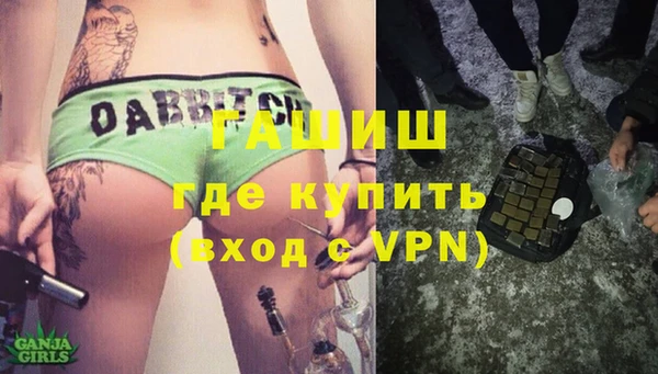 гидра Богородск