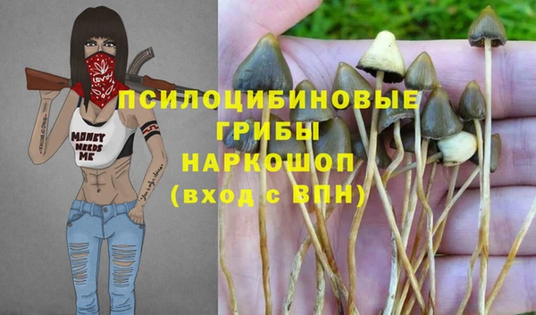 гашиш Бородино