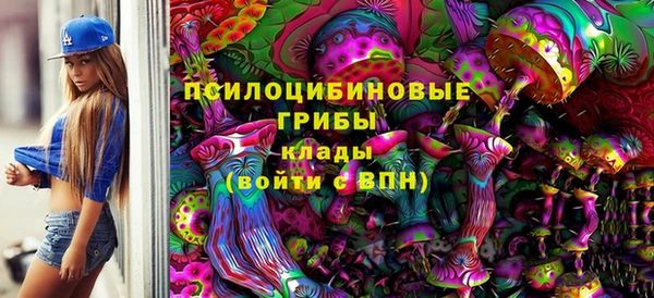 МДМА Богородицк