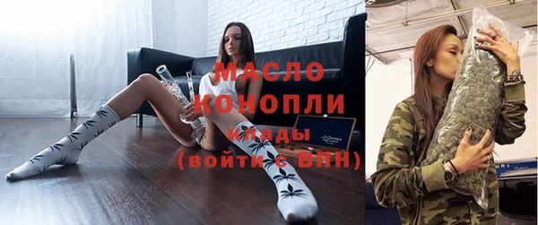 гидра Богородск