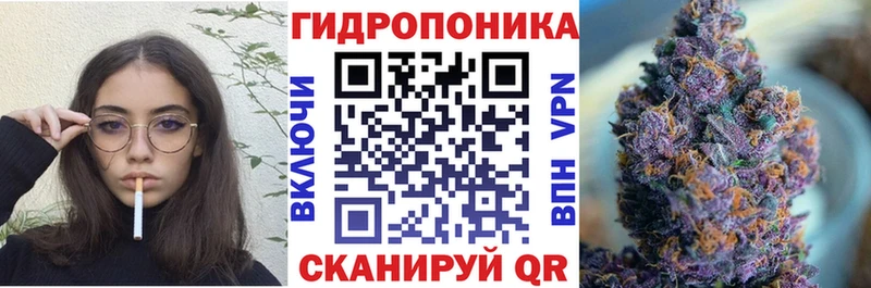 Бошки Шишки план  KRAKEN   Морозовск 